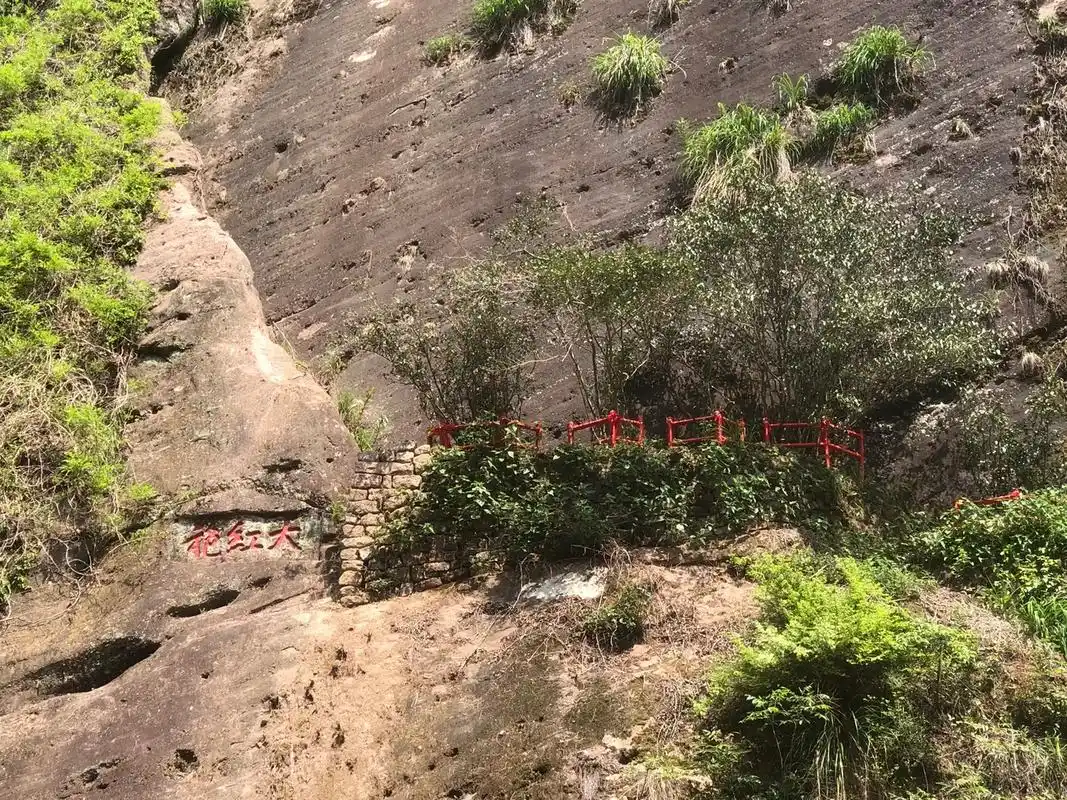 武夷山旅遊完整攻略｜九曲溪竹筏·天遊峰·印象大紅袍