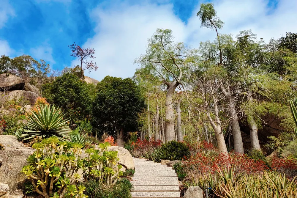 廈門園林植物園 廈門園林植物園